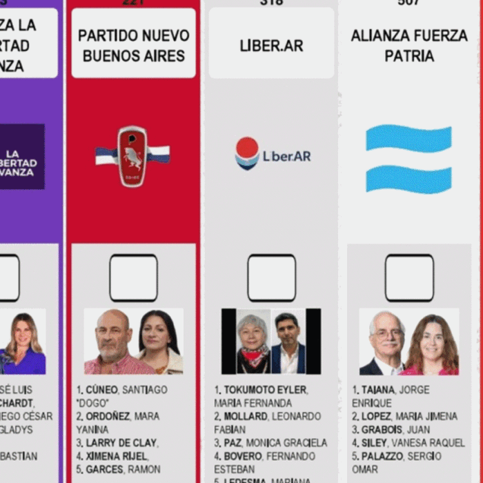 Elecciones 2025: 15 fuerzas, candidatos que buscan renovar y la BUP que debuta