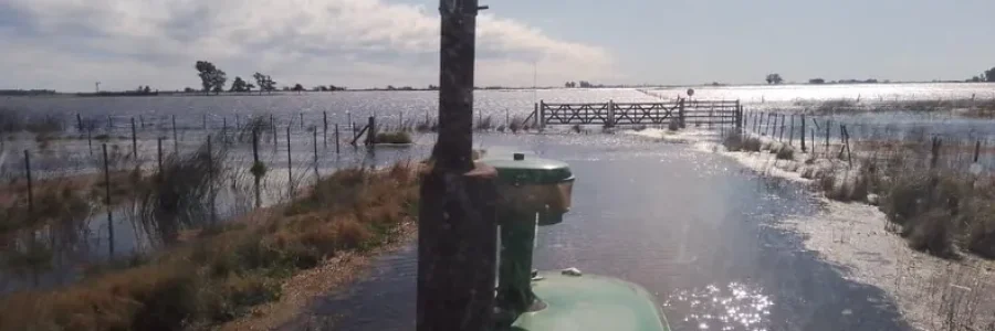 inundaciones-campo